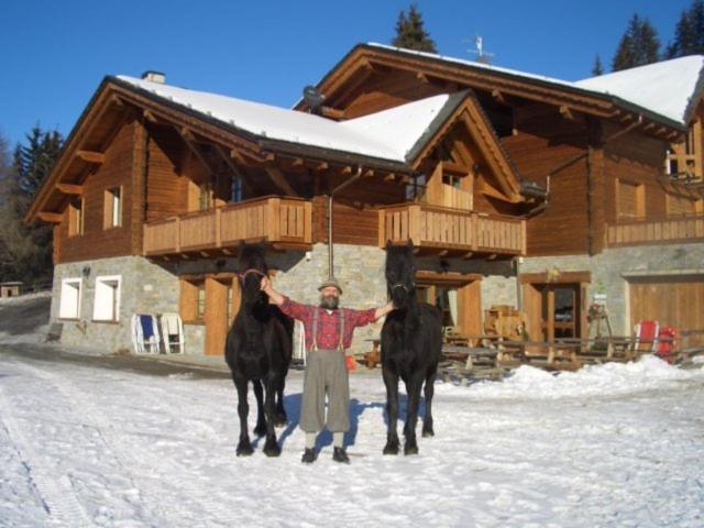 Agriturismo Chalet Caribona Villa Valdisotto Kültér fotó